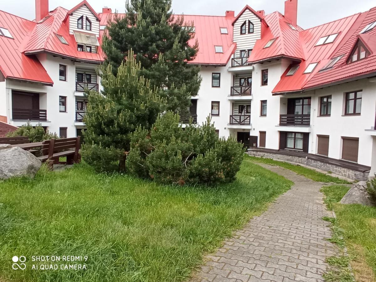 Apartman Violeta Harrachov Eksteriør billede