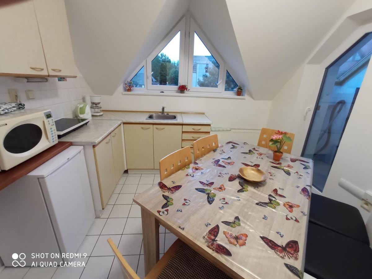 Apartman Violeta Harrachov Eksteriør billede