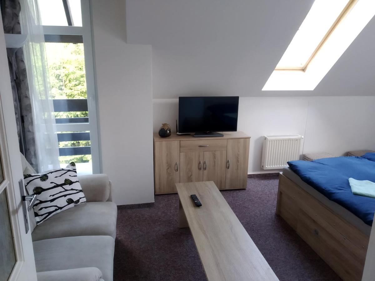 Apartman Violeta Harrachov Eksteriør billede
