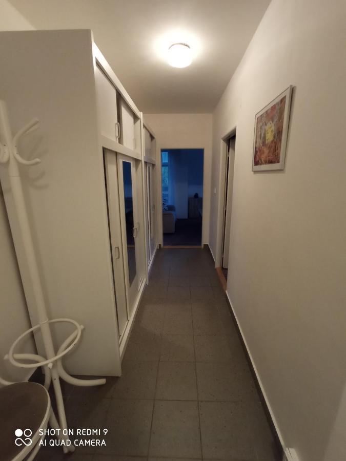 Apartman Violeta Harrachov Eksteriør billede